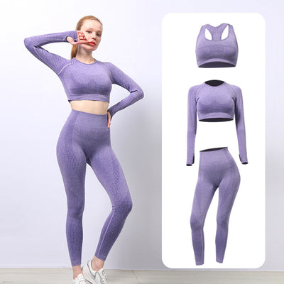 Seamless Yoga Wear Sports Suit Outdoor Fitness Vest Quick Dry Tight Sportswear Yoga Pants Women